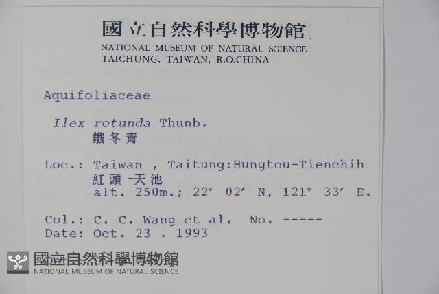 鐵冬青藏品圖，第2張