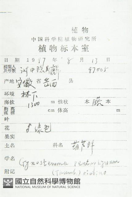 絞股藍藏品圖，第2張