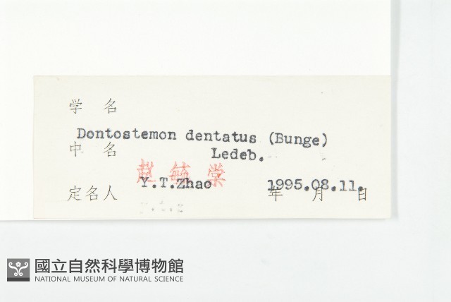 花旗竿藏品圖，第3張