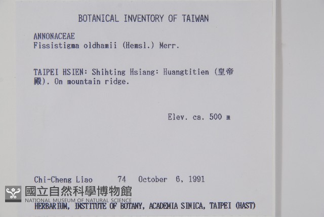 瓜馥木藏品圖，第2張