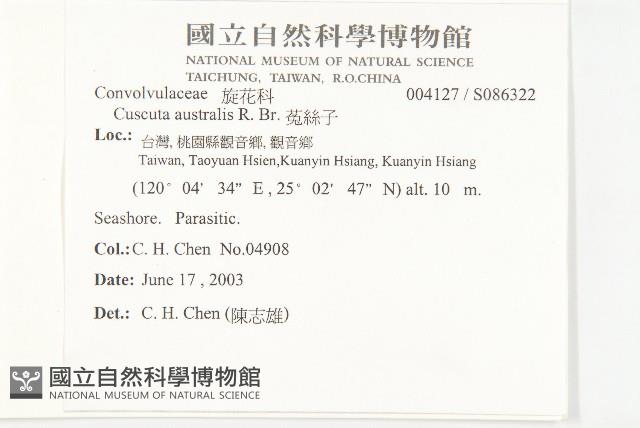 菟絲子藏品圖，第2張