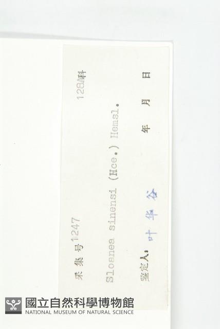 猴歡喜藏品圖，第3張