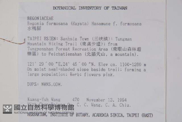 水鴨腳藏品圖，第2張