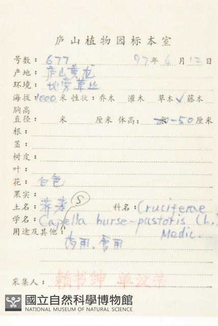 薺藏品圖，第2張