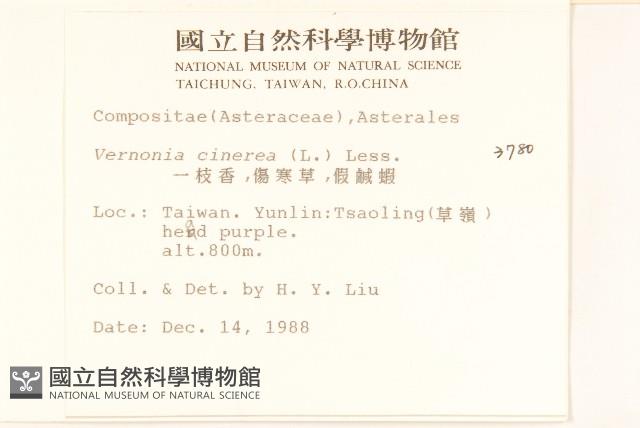 一枝香藏品圖，第2張