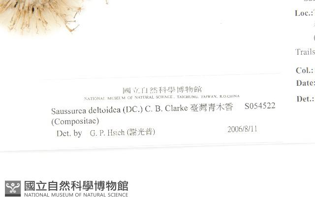 臺灣青木香藏品圖，第3張