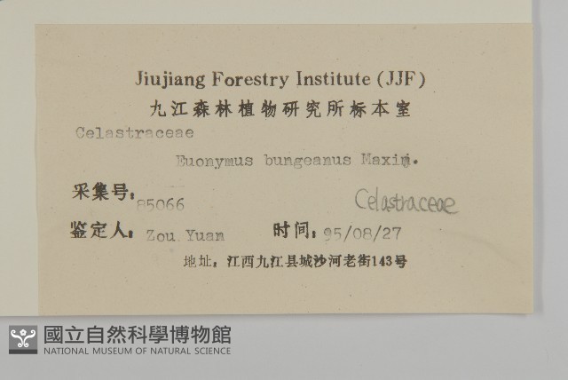 白杜藏品圖，第3張