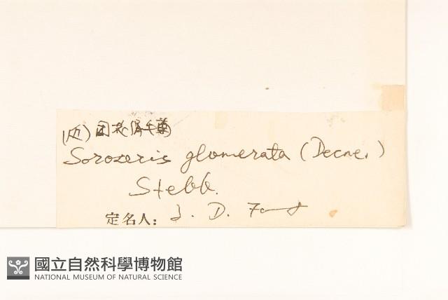 登錄號:S022702藏品圖，第3張