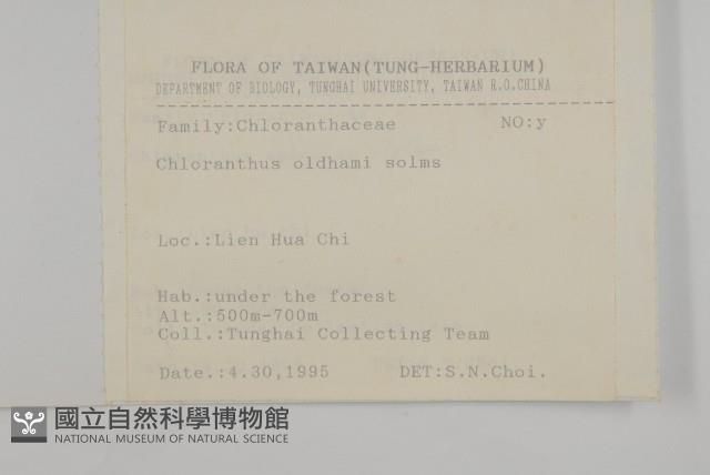 臺灣及己藏品圖，第2張