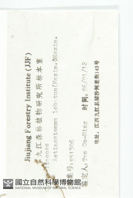 合子草藏品圖，第3張