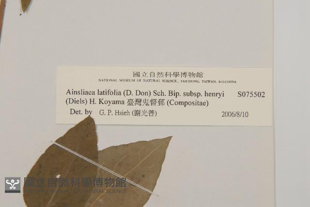 臺灣鬼督郵藏品圖，第3張