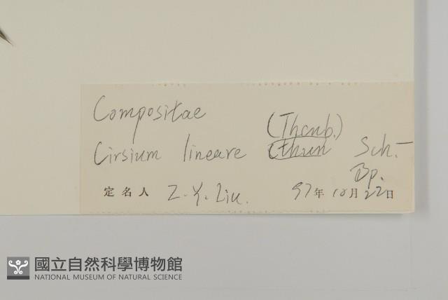 華薊藏品圖，第3張