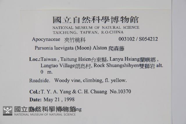 爬森藤藏品圖，第2張