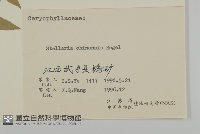 中國繁縷藏品圖，第3張