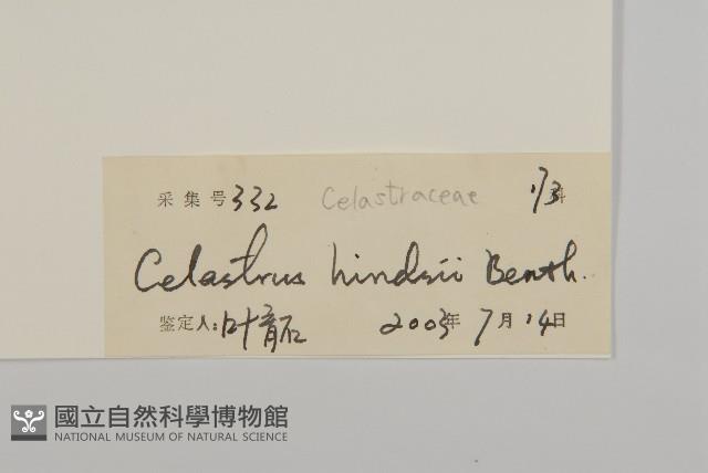 南華南蛇藤，青江藤藏品圖，第3張