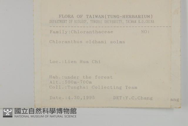 臺灣及己藏品圖，第2張