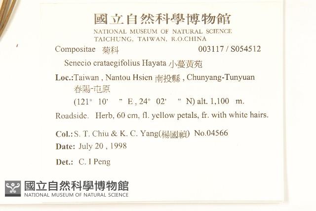 小蔓黃苑藏品圖，第2張