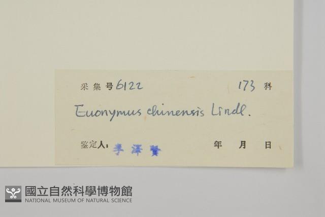 中國衛矛藏品圖，第3張