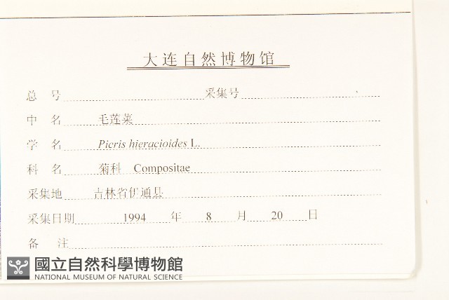 毛蓮菜藏品圖，第3張