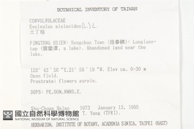 土丁桂藏品圖，第2張