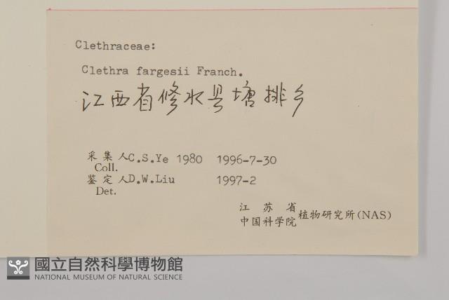 華中山柳藏品圖，第3張