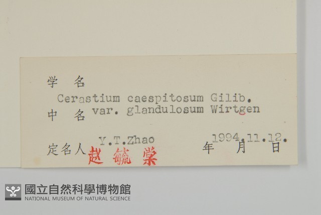 卷耳藏品圖，第3張