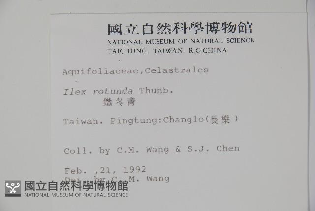 鐵冬青藏品圖，第2張