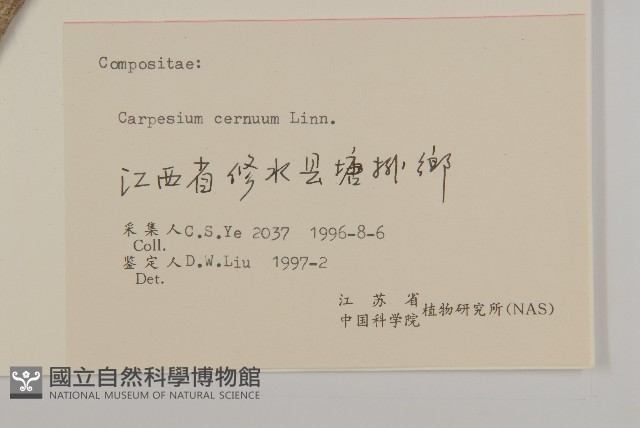杓兒菜藏品圖，第3張