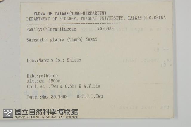 草珊瑚、紅果金粟蘭藏品圖，第2張