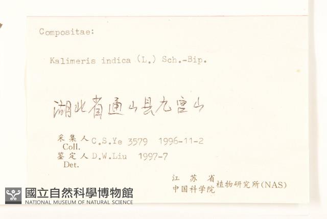 雞兒腸藏品圖，第3張