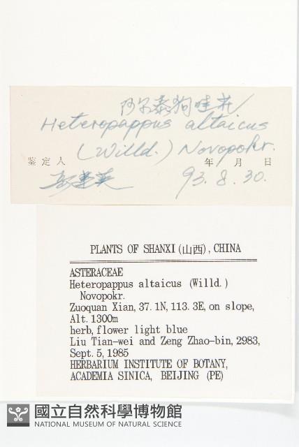 阿爾泰狗哇花藏品圖，第3張