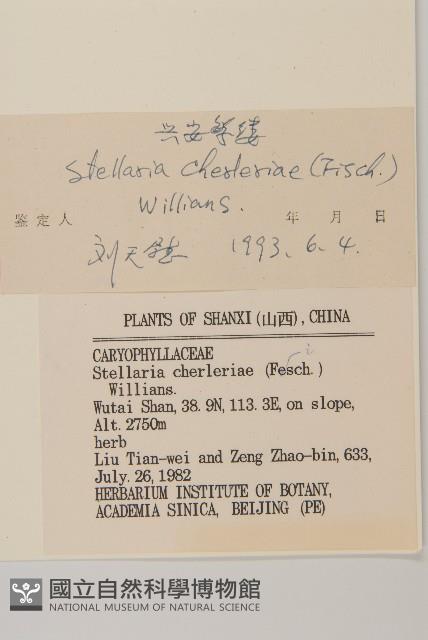 興安繁縷藏品圖，第3張