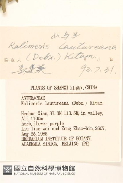 山馬蘭藏品圖，第3張