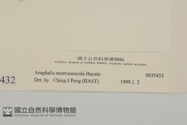 玉山抱莖籟簫藏品圖，第3張