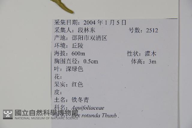 鐵冬青藏品圖，第2張