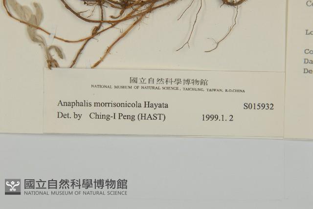 玉山抱莖籟簫藏品圖，第3張