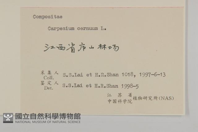 杓兒菜藏品圖，第3張