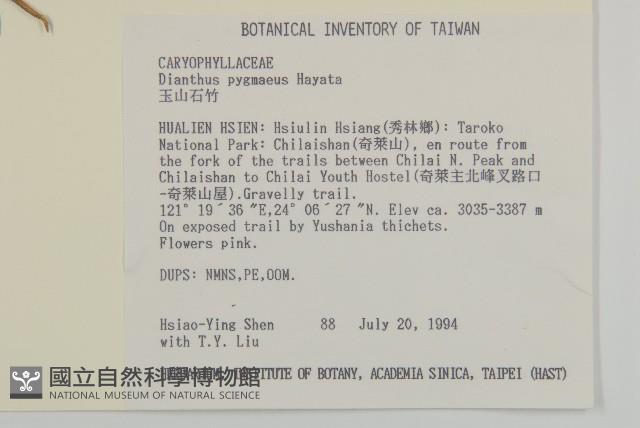 玉山石竹藏品圖，第2張