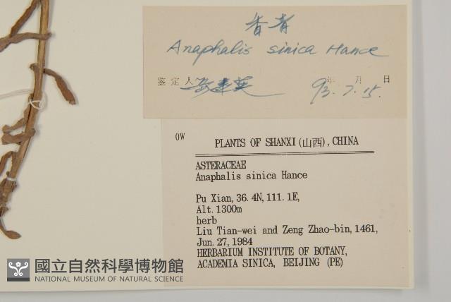 Accession Number:S036062 Collection Image, Figure 3, Total 3 Figures