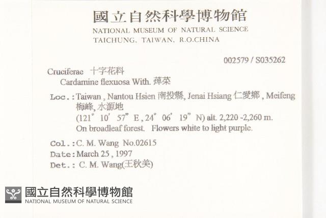 焊菜藏品圖，第2張