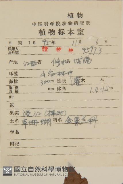 草珊瑚、紅果金粟蘭藏品圖，第2張