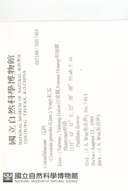 紅瓜藏品圖，第2張