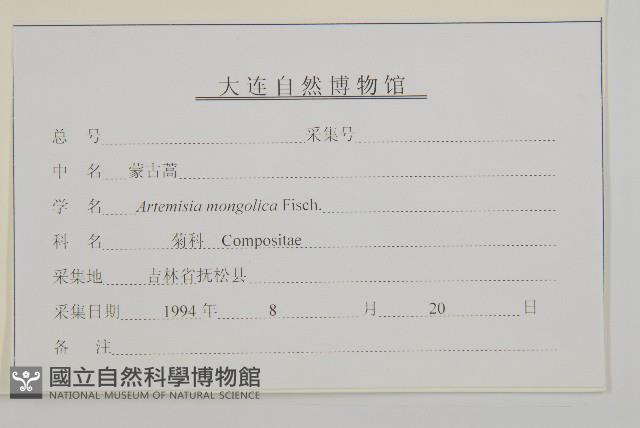 蒙古蒿藏品圖，第3張