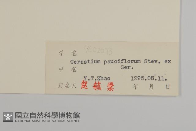 寄奴花藏品圖，第3張