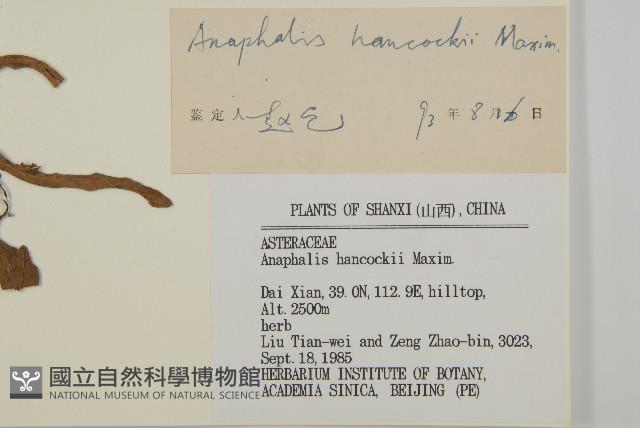 Accession Number:S035842 Collection Image, Figure 3, Total 3 Figures