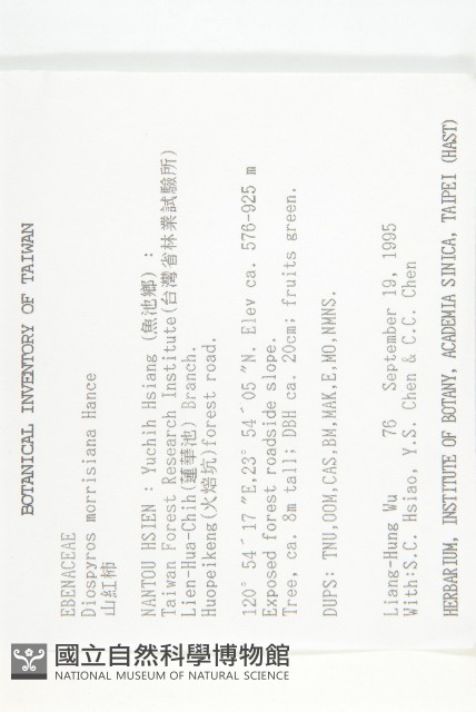 山紅柿藏品圖，第2張