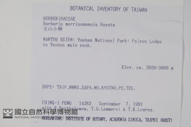 玉山小蘗藏品圖，第2張