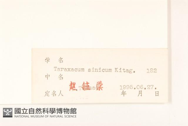 華蒲公英藏品圖，第3張