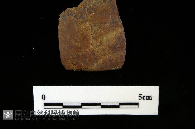 矛鏃形器藏品圖，第3張