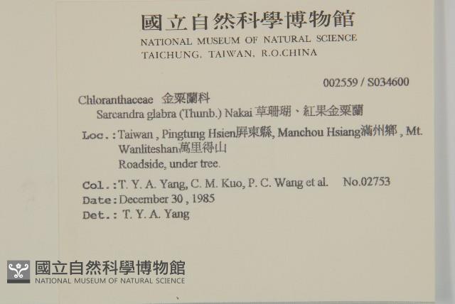 草珊瑚、紅果金粟蘭藏品圖，第2張